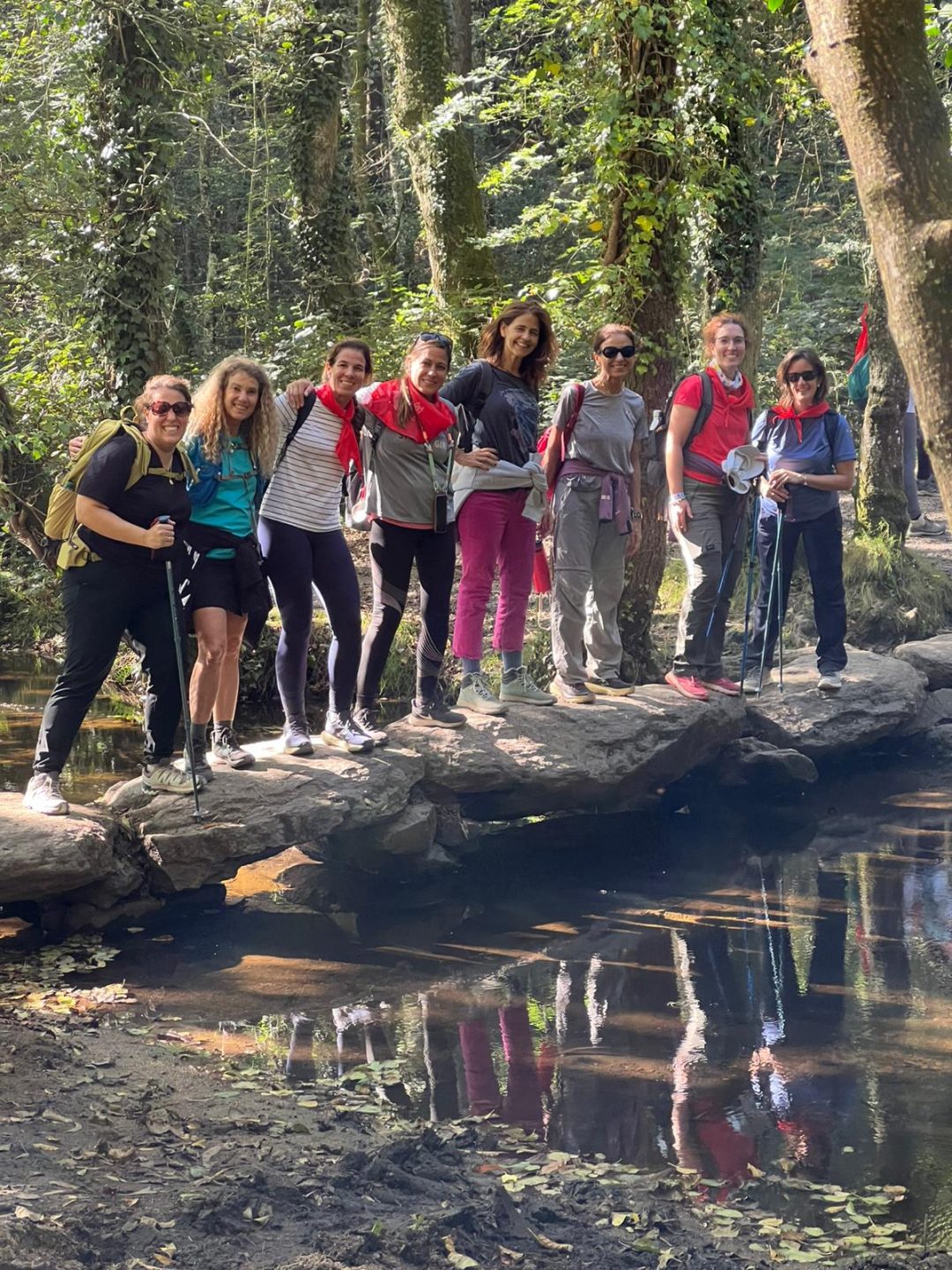 Camino de Santiago 2025